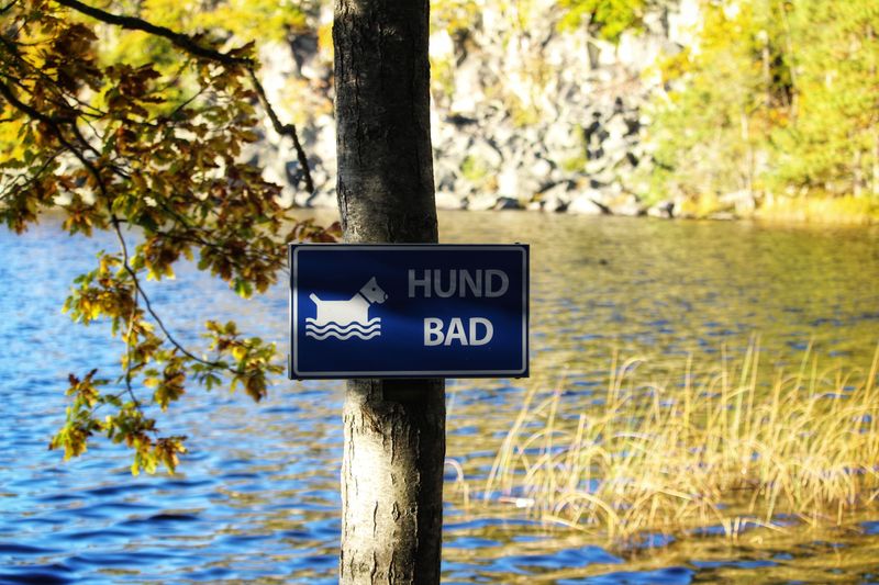 Know When To Skip The Lake