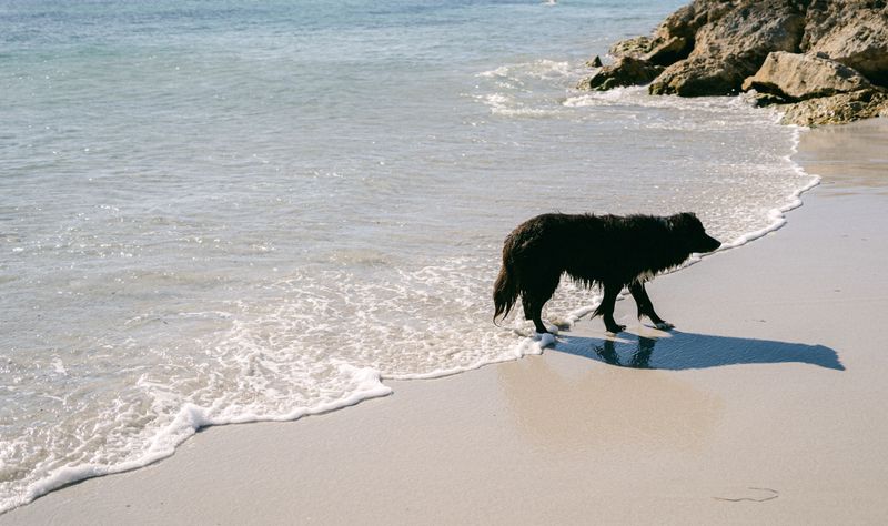 Rinse Off Salt and Sand