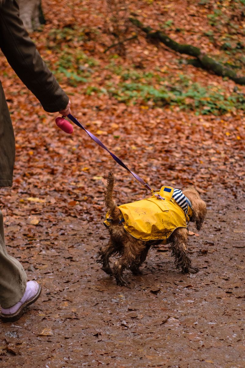 Be Careful Around Washed-Out Trails