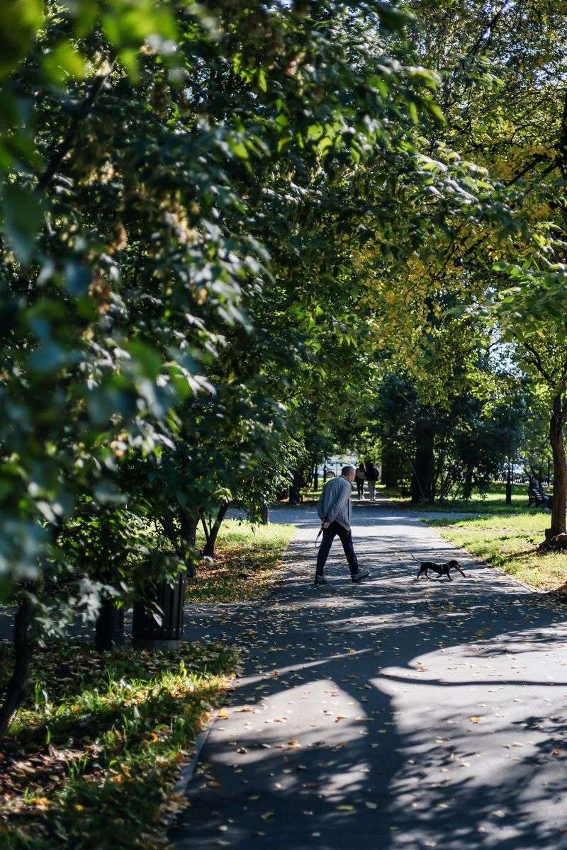 Shaded Routes Can Change The Whole Walk