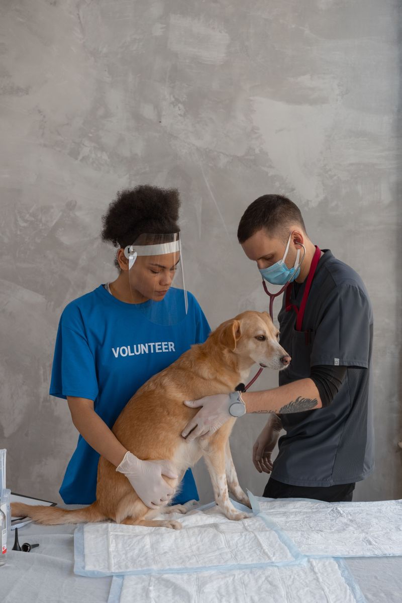 Printed Veterinary Records