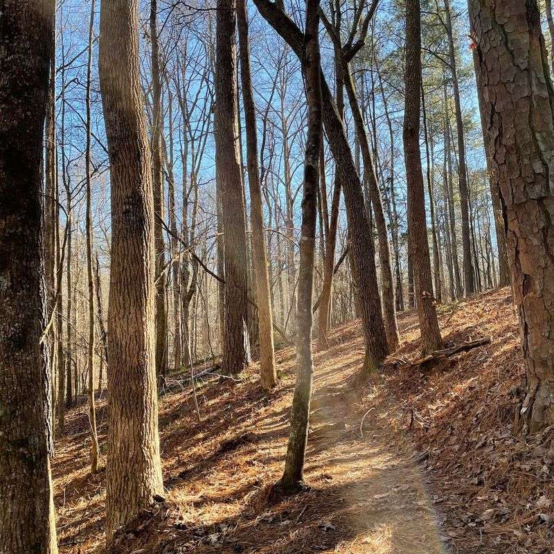 Hard Labor Creek State Park, Rutledge