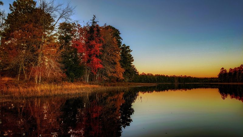 Wharton State Forest: Follow the Sandy Paths