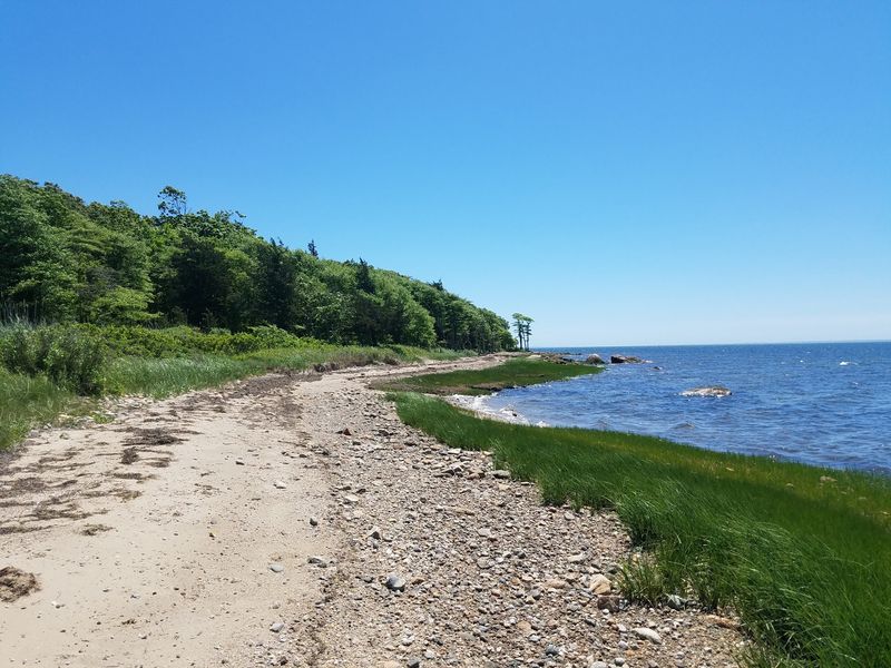 Nasketucket Bay State Reservation, Mattapoisett