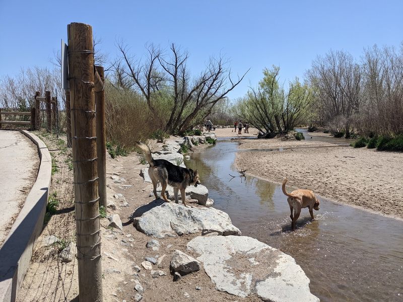 Cherry Creek State Park Dog Off-Leash Area, Aurora