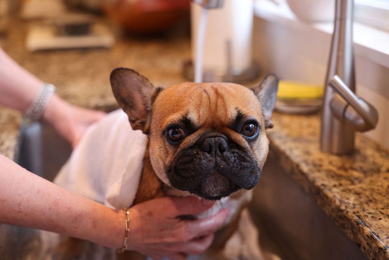 Facial Folds Can Stay Damp
