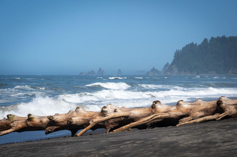 Large Waves Can Move Heavy Logs