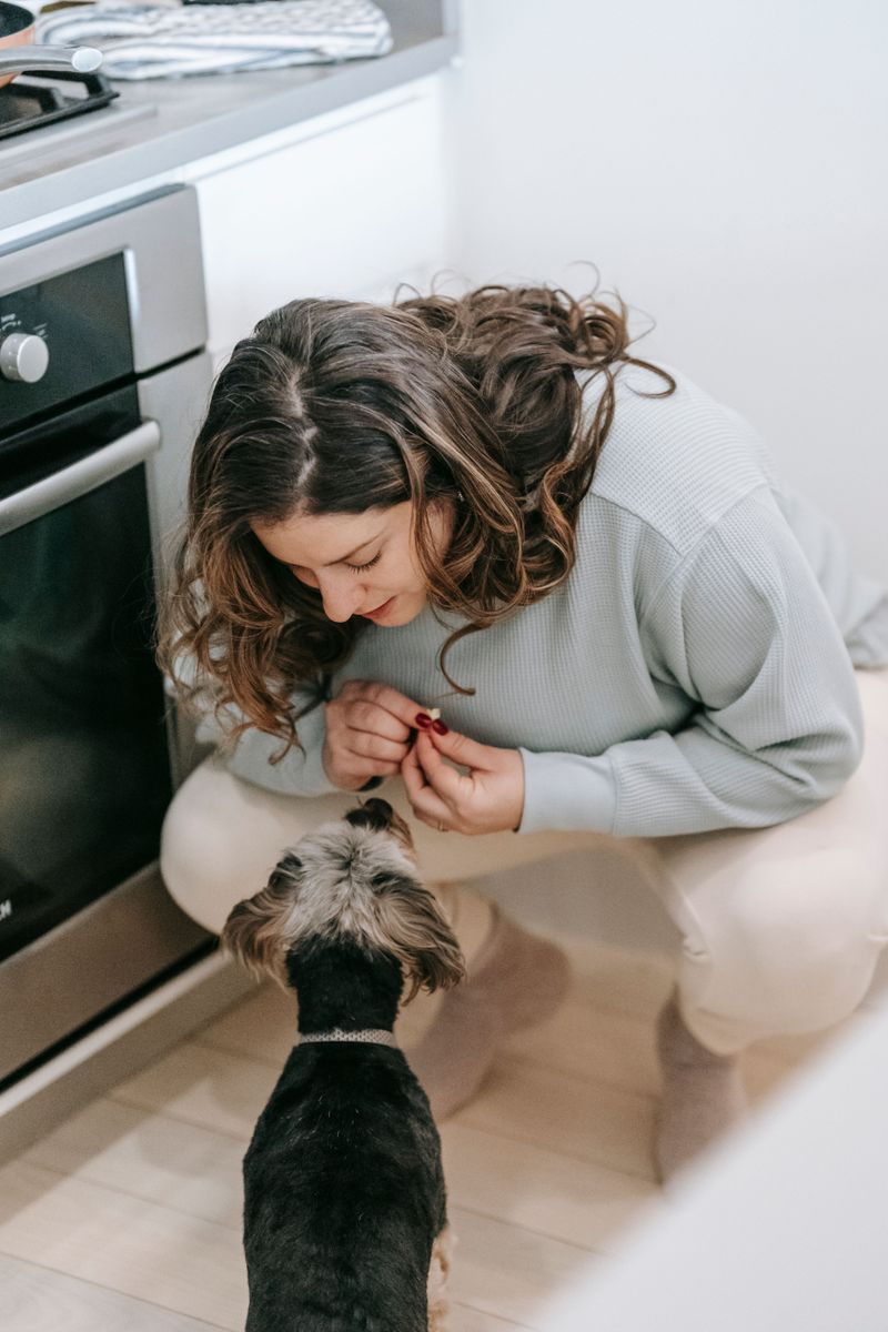 The Dog Behind Your Heels