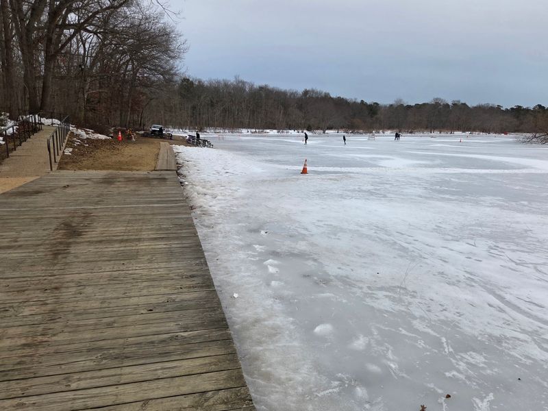 Turkey Swamp Park: An Easy Family-Camp Base