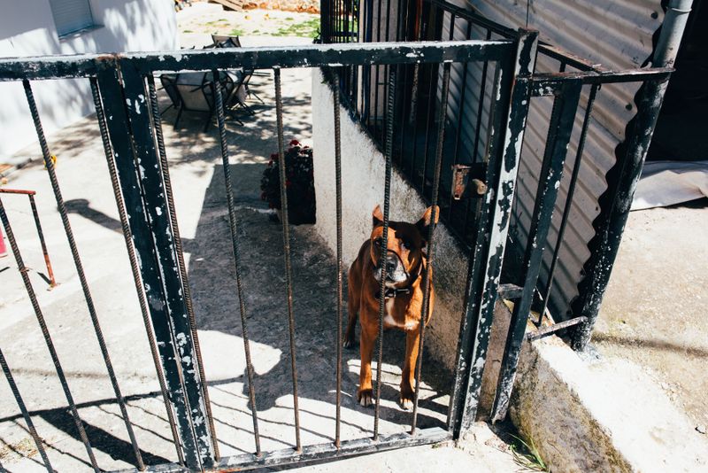 Restraint Requirements Can Go Beyond Leashes