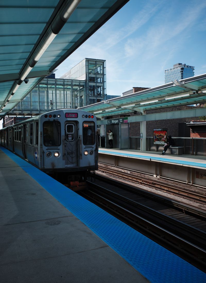 Metra And CTA Pet Rules Are Different