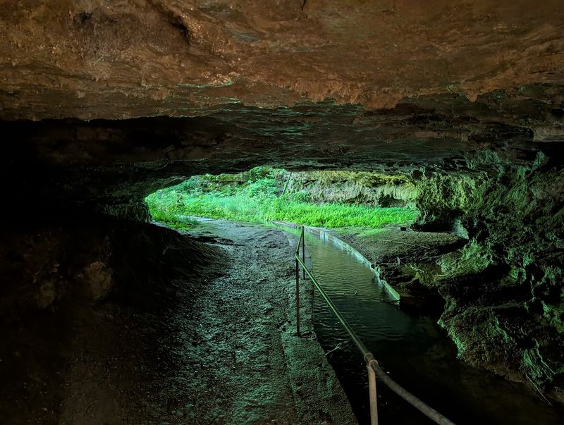 Missouri's Cave Country Is a Dog-Friendly Outdoor Destination