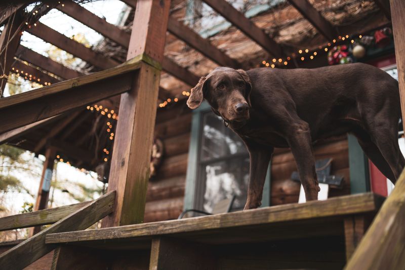 Are There Stairs, Open Decks, Or Other Escape Risks?