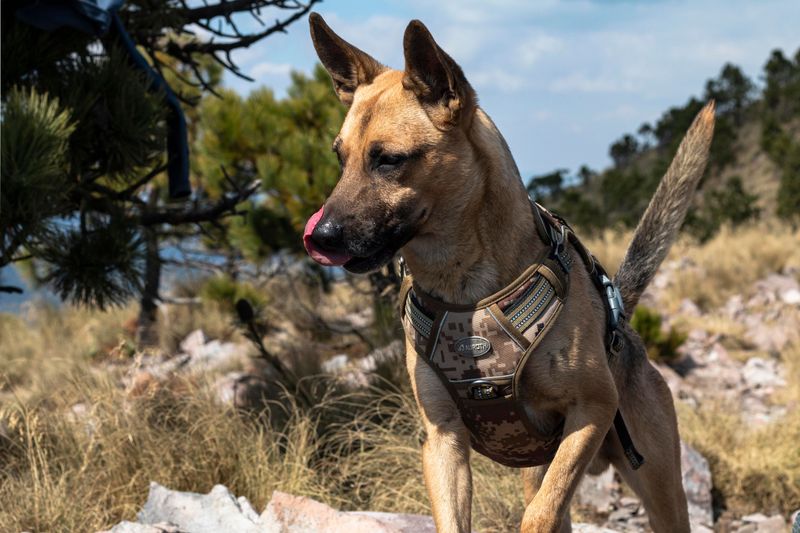 Make Snake Awareness Part Of Every Outdoor Trip