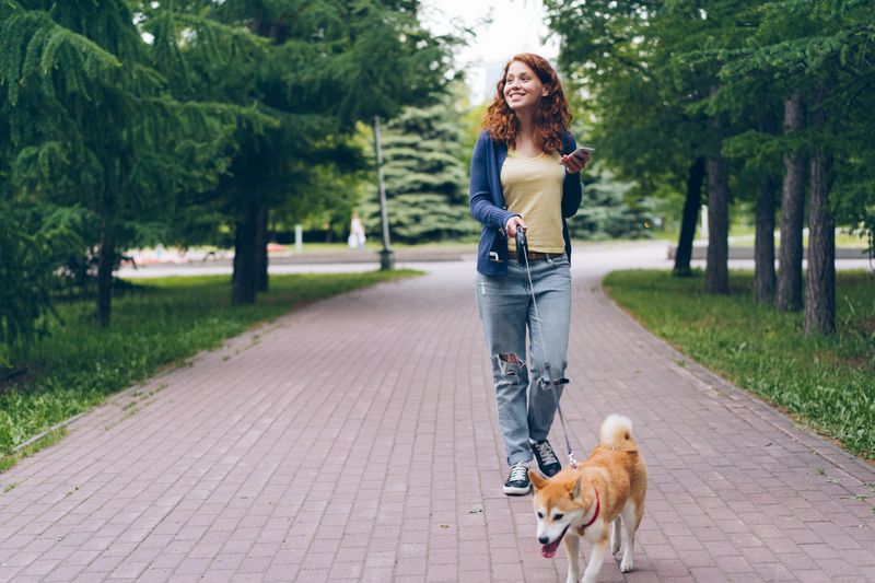 How Louisiana Dog Owners Can Adjust Walks During Extreme Humidity