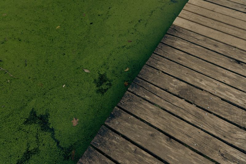 Are There Algae or Water-Quality Advisories?