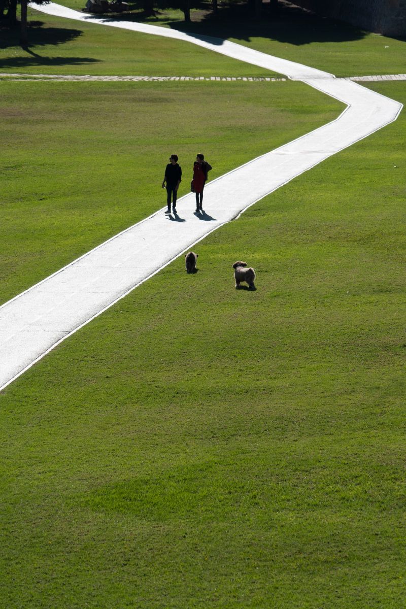Are There Shady Paths or Grass to Walk On?