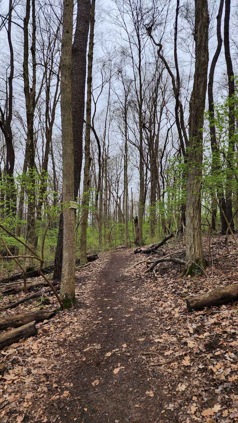 John Bryan State Park, Yellow Springs