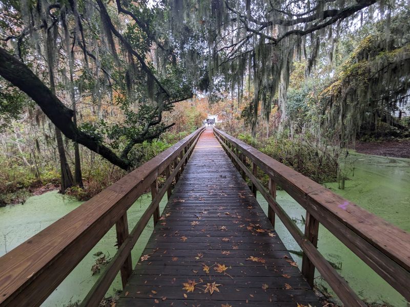 Cypress Wetlands Boardwalk, Port Royal