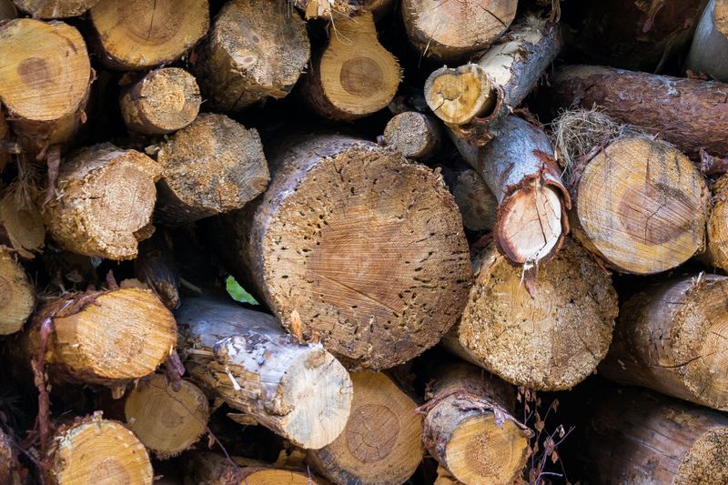 Why Woodpiles Can Hide Copperheads