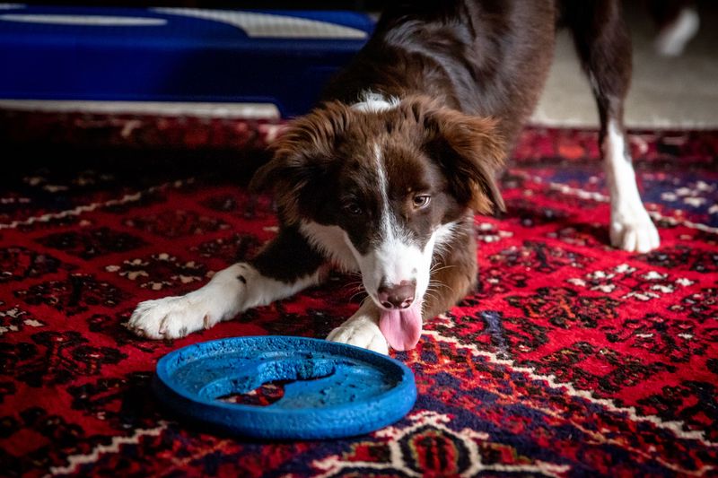 When Indoor Activity Is a Better Option