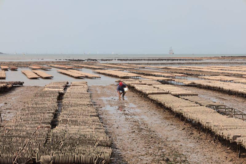 Tides Reveal New Hazards