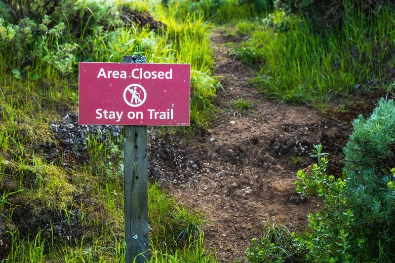 Keep Dogs Off Soft Trails When Possible