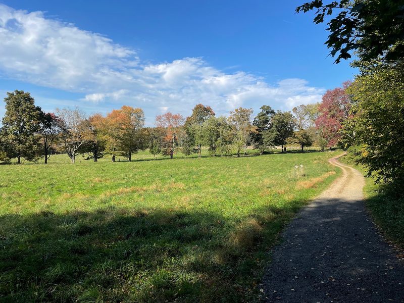 Rockefeller State Park Preserve, Pleasantville: The Grand Finale