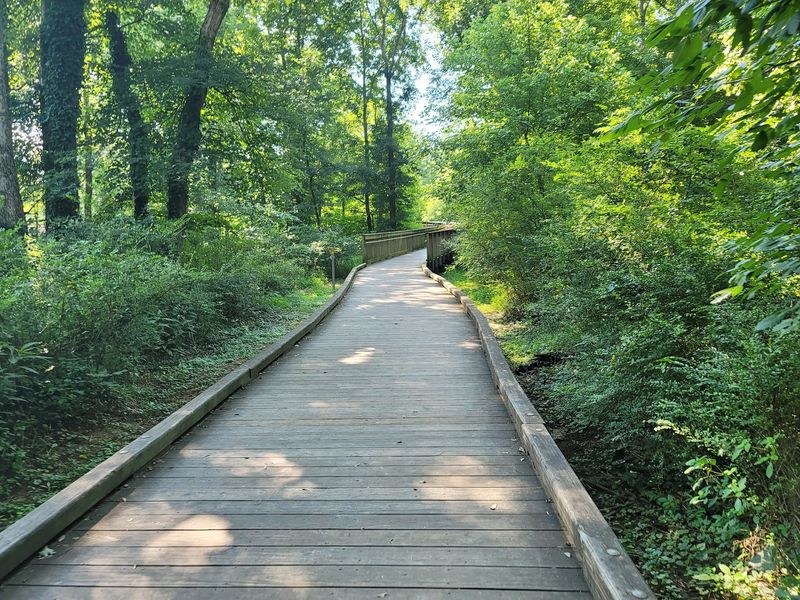 Hillsborough Riverwalk