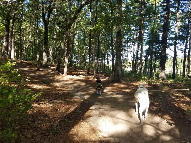 Rangeway Town Forest, Billerica
