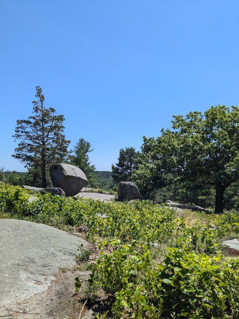 Coolidge Reservation, Manchester-by-the-Sea