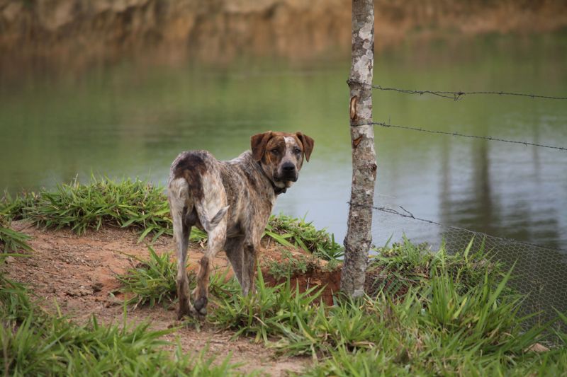 Fences May Not Be Enough Around Water Features