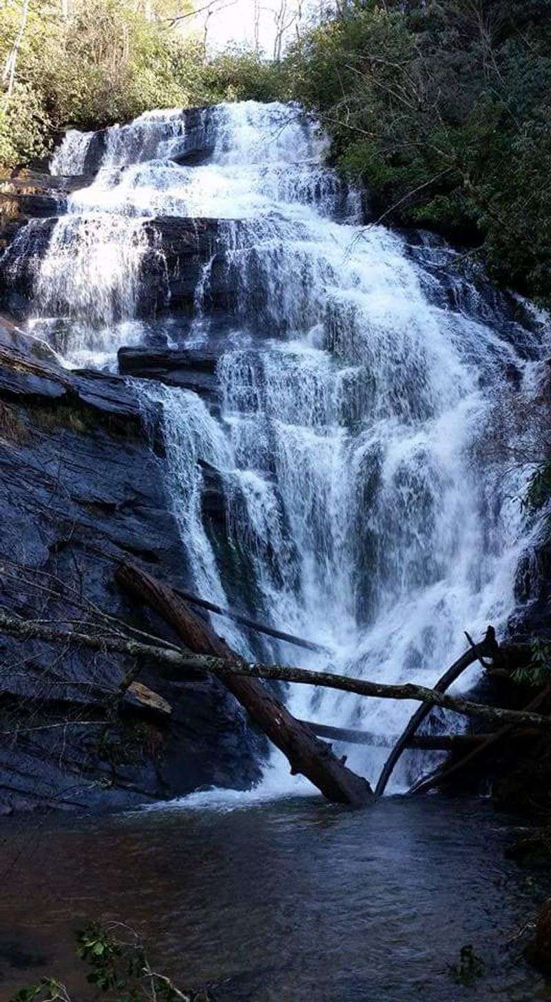 King Creek Falls Trail