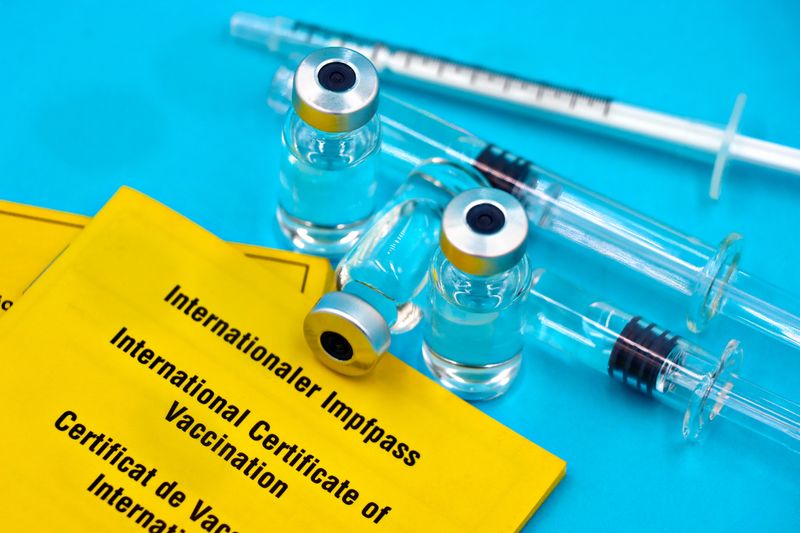 Keep The Rabies Certificate Within Easy Reach