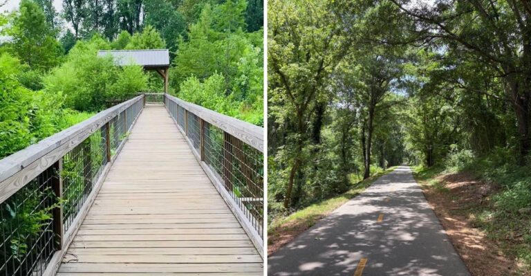 17 South Carolina Urban Greenways For Long Dog Walks