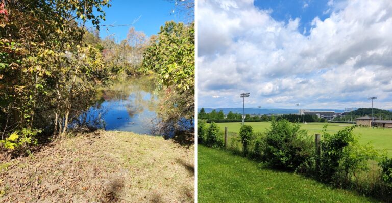 16 Virginia Rail Trails Beyond The Best-Known Mountain Routes For Dog Walks