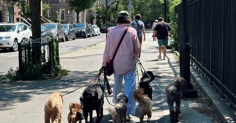 18 New York Dog Expenses That Hit Hardest In High-Cost Apartment Living