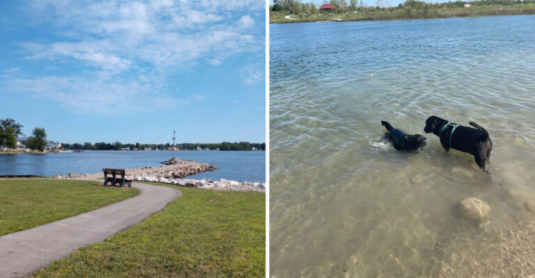 17 Ohio Lakes, Parks, And Trails Made For A Day Out With Your Dog