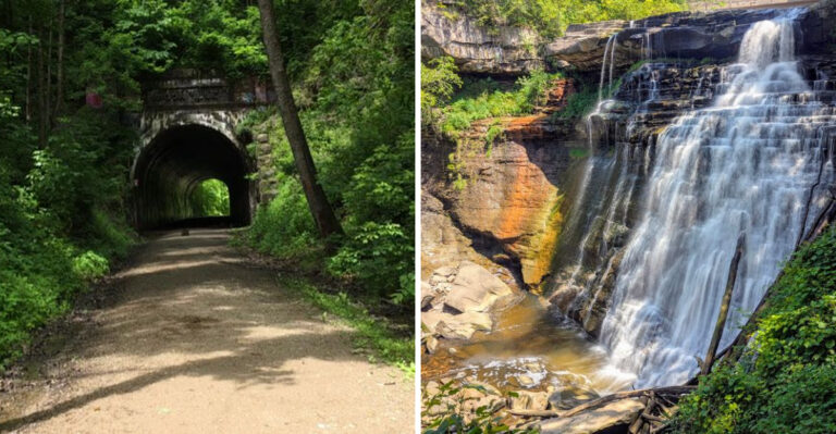 16 Ohio Road Trips That Give Dog Owners A Reason To Explore Beyond Their Home City