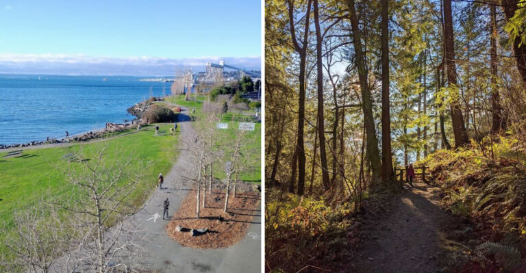 17 Washington Trails And Waterfront Walks To Explore With Your Dog