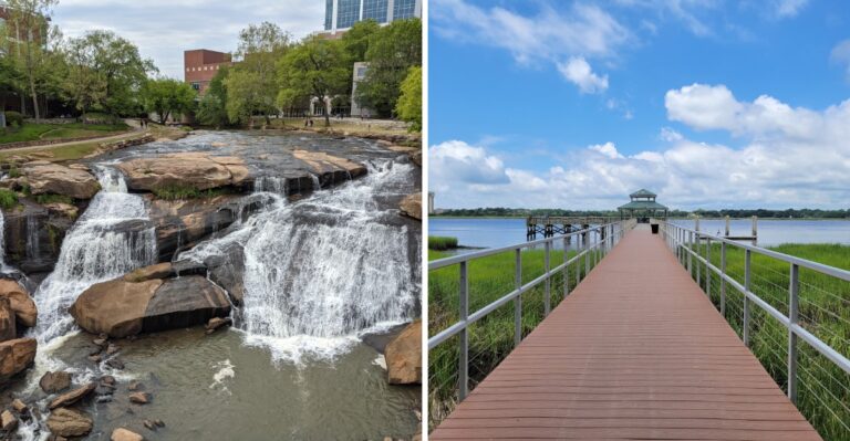 16 South Carolina Riverwalks For Dogs That Prefer Level Paths
