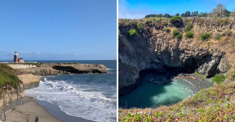 18 California Coastal Trails Where Dogs Can Join The Adventure