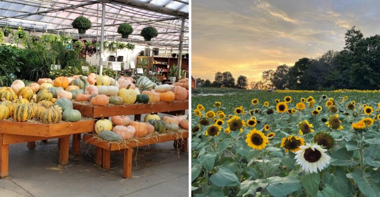 18 Michigan Orchard And Farm Trails That Welcome Dogs Outdoors