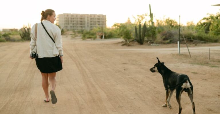 How To Plan A Dog-Friendly Road Trip Across New Mexico’s Long Desert Highways