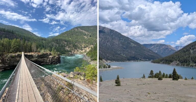 Dog-Friendly Road Trips Through Montana’s Small Mountain Towns