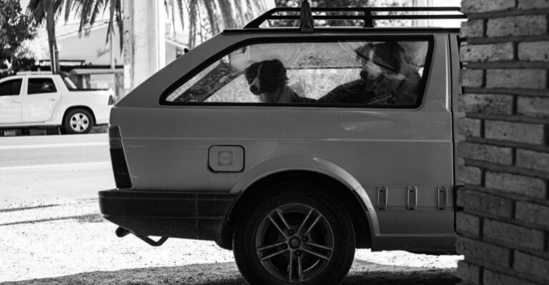What North Carolina Law Says About Dogs Left Unattended In Parked Cars
