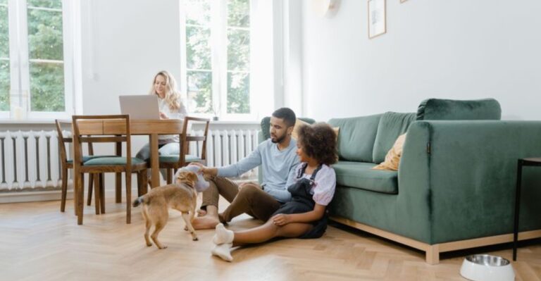 Michigan Cottage Season Can Confuse A New Dog Unless The House Rules Travel Too