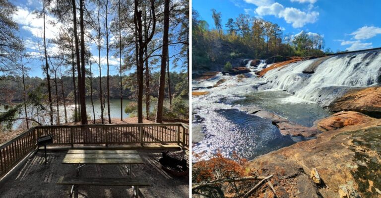 20 Georgia Campgrounds Outside the Busiest Mountain Parks That Welcome Dogs