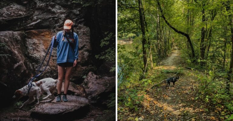 What Missouri Cave Country Means For Travelers With Dogs
