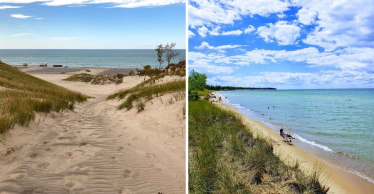 18 Michigan Lakeside Parks And Trails To Explore With Your Dog